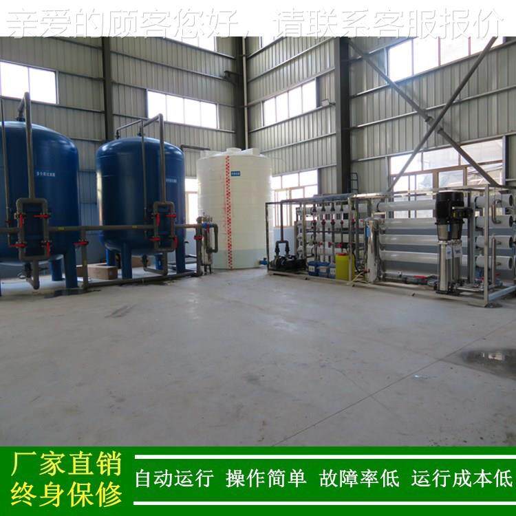 纯水517机_每小时处20吨工业RO纯水_透反渗纯水理设备厂机家绿健