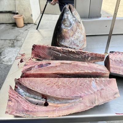 W达瑞WNM工宝大型锯骨机 全自动商用设锯骨机业锯骨机切骨骨机切