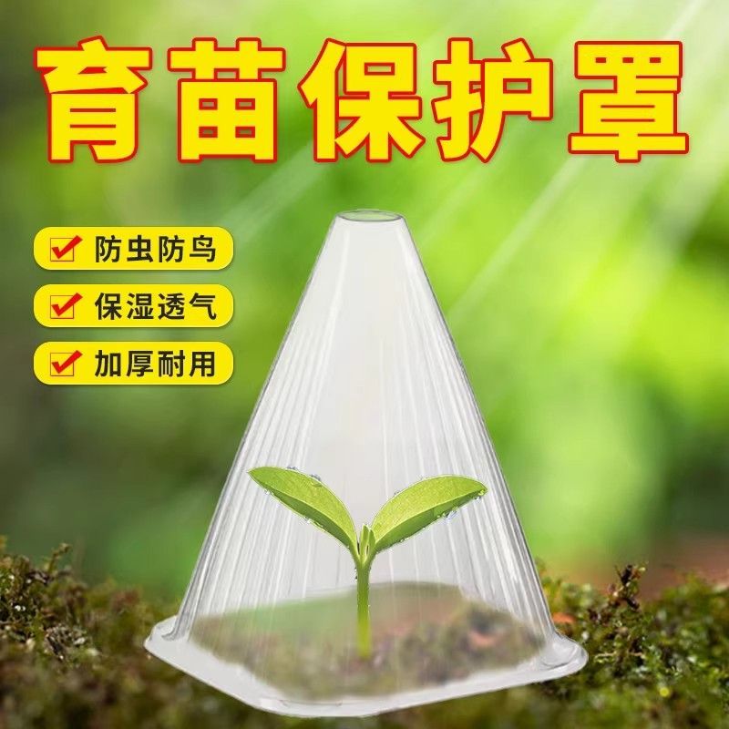 育苗温室加厚透明钟罩防霜防鸟