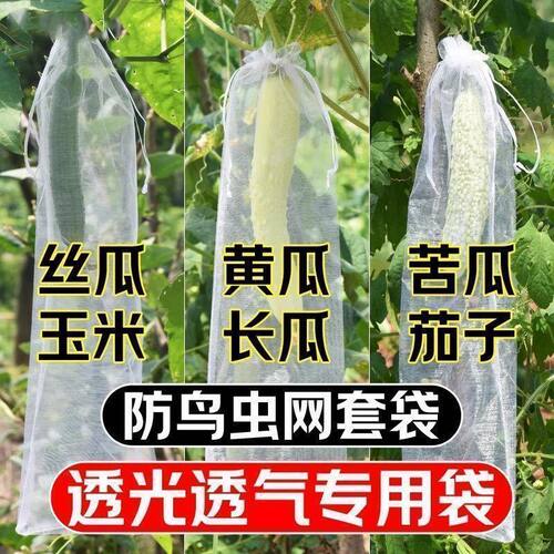 无纺布包瓜苦瓜丝瓜防虫网袋套袋羊角蜜保护袋防针蜂防果蝇专用袋