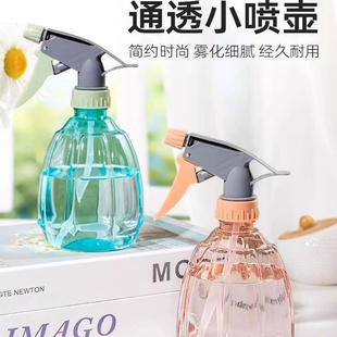 浇花清洁壶家用喷头水壶喷雾小型酒精喷喷壶浇水消毒喷雾瓶雾神器