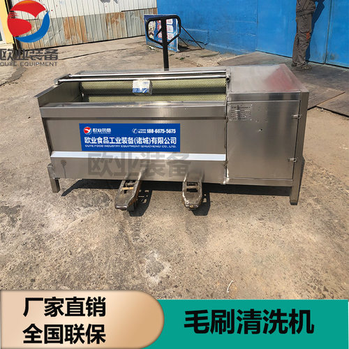 新疆大枣抛光机 橙子毛刷毛刷抛光机 不锈钢毛刷清洗机