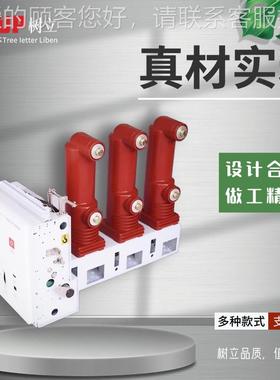 S1-SLVS1-ZNZN63A-123K户内高压真空断路V器侧装式固定式1.5KV2V5