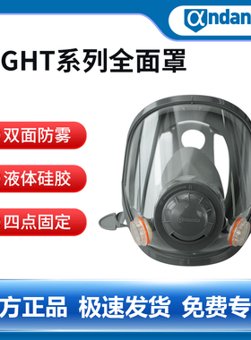 安丹达Light系列自吸过滤式全面罩103045 M 1个