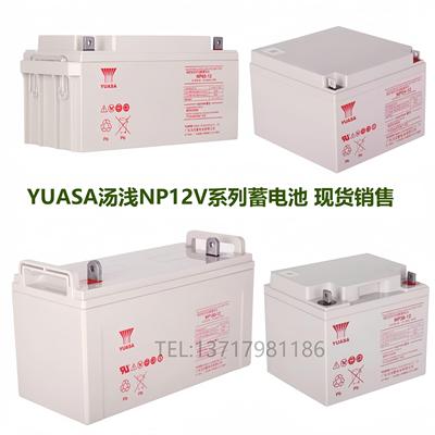 YUASA汤浅蓄电池NP65-12阀控式免维护12V100AH24A38A17.2应急储能