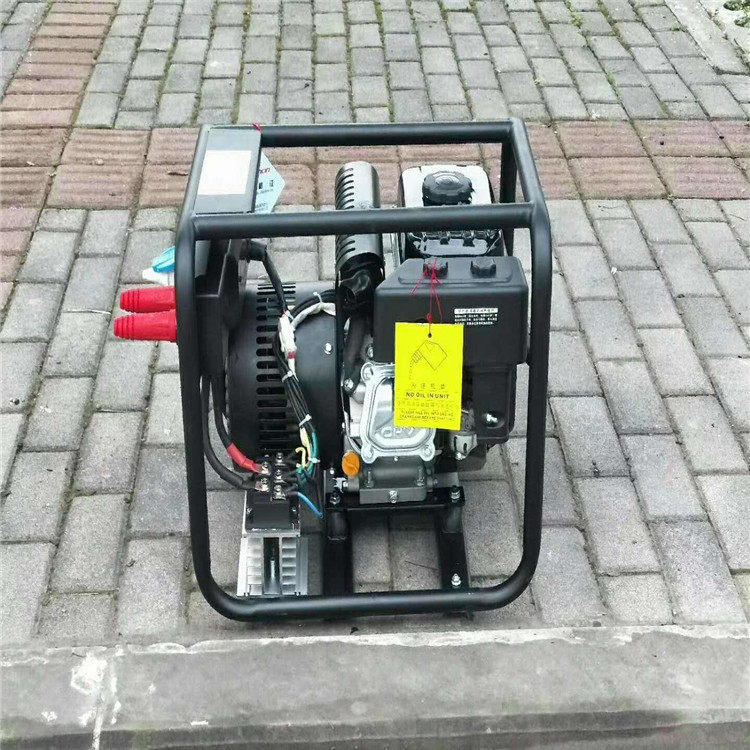 户外应急便携汽油发电电焊机 发电电焊机两用一体汽油柴油发电机,模玩/动漫/周边/娃圈三坑/桌游,文化/体育周边,淘宝优惠券,粉丝福利购,淘宝优惠卷