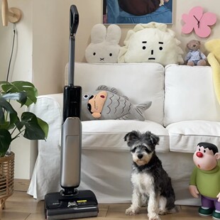 Mova洗地机X40pro添推入式基站 90℃热水喷洗可0缠毛0水渍绿光