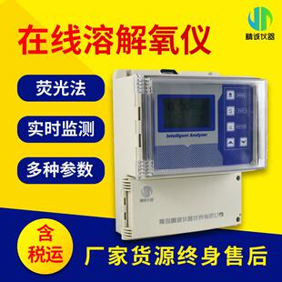 在线溶解氧分析测定仪 在线溶解氧仪荧光法水产养殖溶氧仪壁挂式