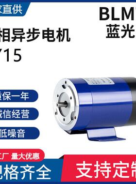 交流单相电容运转异步电机15W2960rpm2极全铜线微型YY电动机