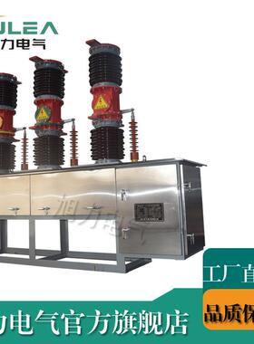 35KV高压真空断路器电站型线路型ZW7-40.5