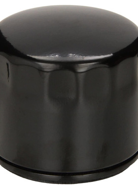 12 050 01-S Engine Oil Filter For CH18 CH25 And CV18 - CV25