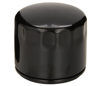 12 050 01-S Engine Oil Filter For CH18 CH25 And CV18 - CV25