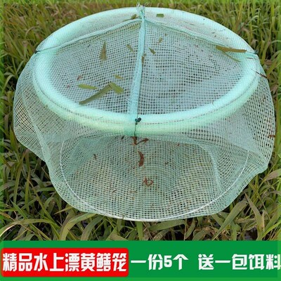 5个装黄鳝笼新款绿色白色水上漂黄鳝网黄鳝捕鳝笼泥鳅鳝鱼笼
