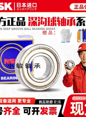 日本NSK 6214 6215 6216 6217 6218 6219 6220 ZZCM DDU 进口轴承