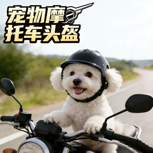 比熊专用狗狗骑行头盔墨镜