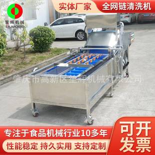 全网链输送提升臭氧洗菜机笙辉翻浪荔枝芒果气泡清洗机洗果设备