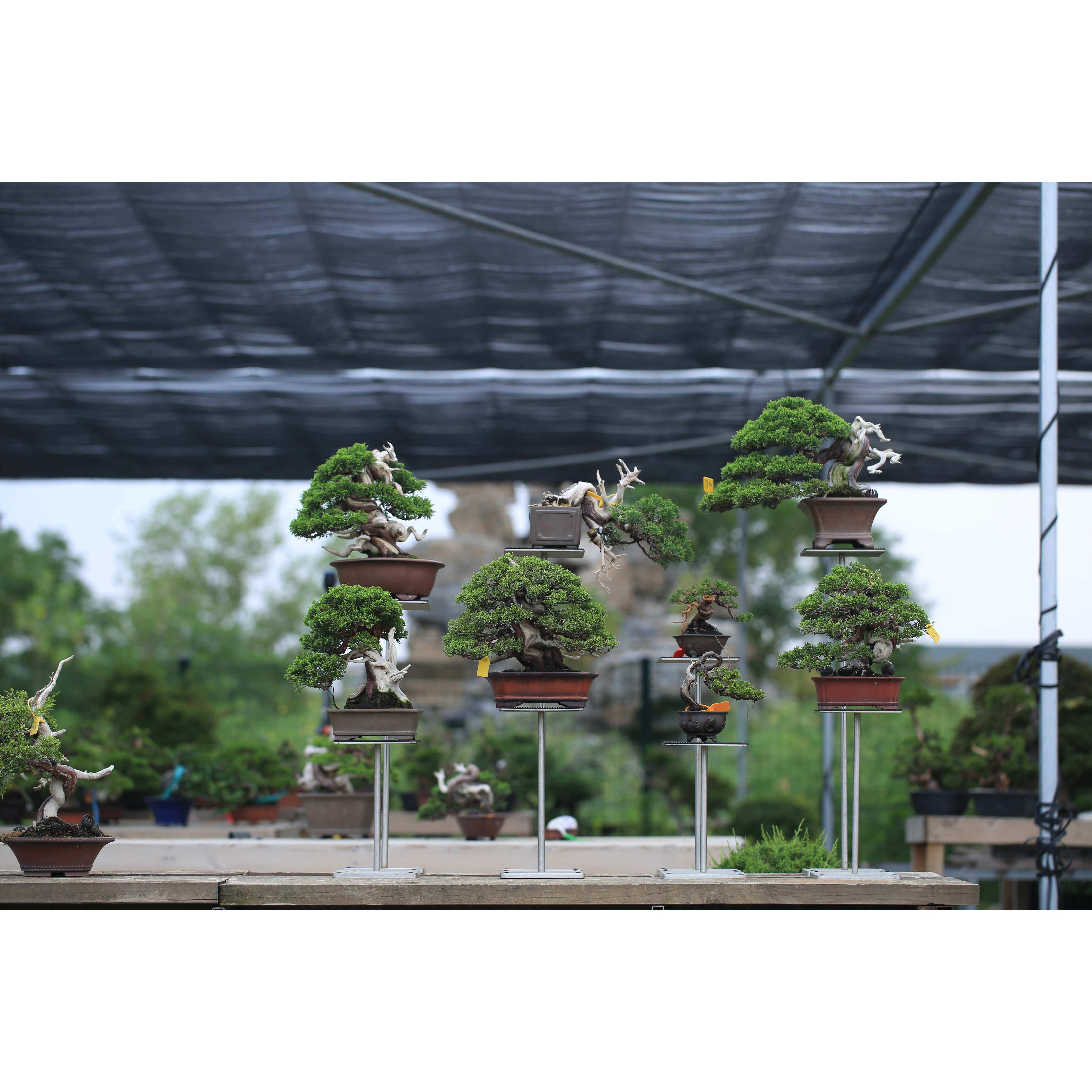 行山居  盆景户外专用不锈钢花架工字架