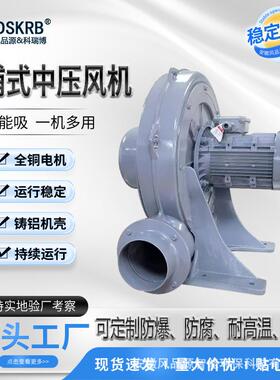 大风量TB100工业用变频中压鼓风机锅炉助燃风机风品源DSKRB