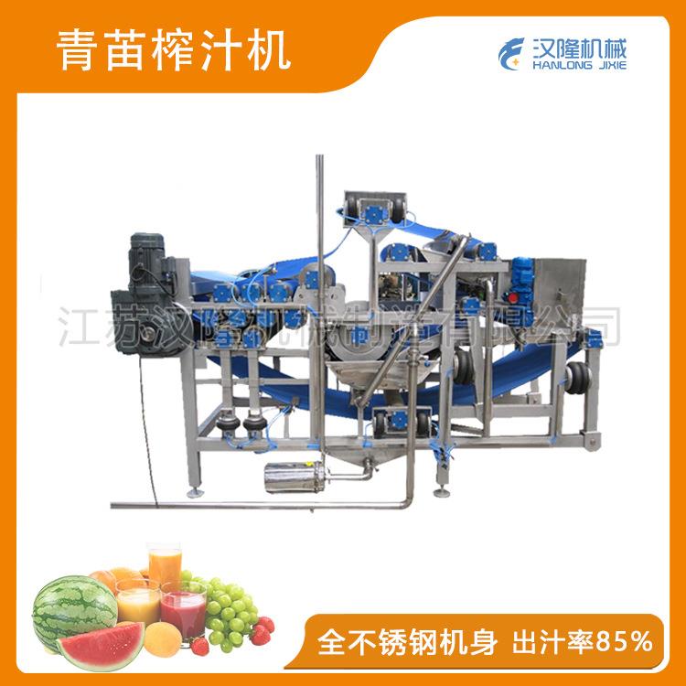 厂家供应大型工业商用工业麦苗苹果石榴青苗梅干菜豆腐榨菜榨汁机