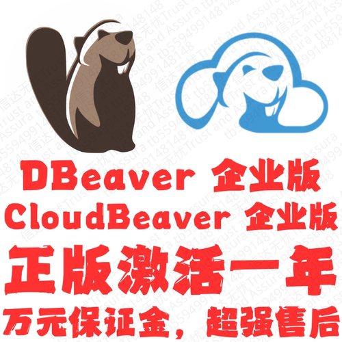 DBeaverEnterprise企业版激活码