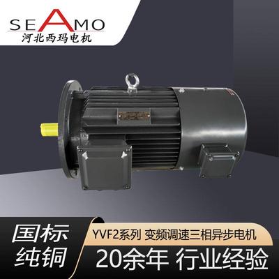 电机定制生产YVFE2-2极3-355w变频调速三相异步电动机