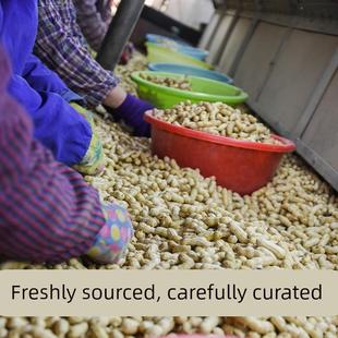 红皮花生生花生带壳新鲜2025年晒干生的红衣花生米带壳