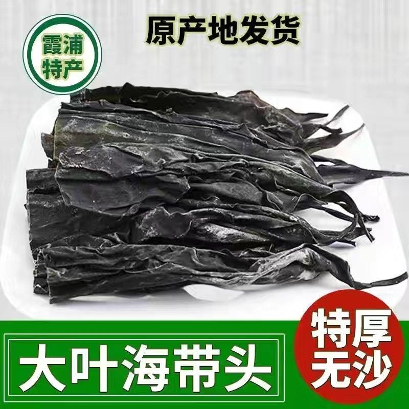 特厚海带头纯天然巨厚长海带头干货软糯加厚宽头超厚海带根批发价