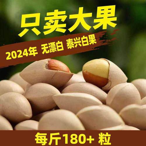 包邮手工挑选农家新鲜大白果泰州特产2024泰兴大佛指生白果银杏果