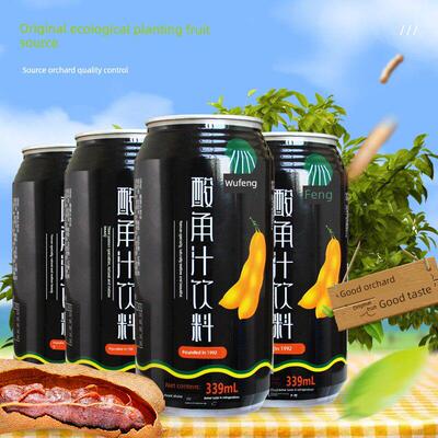 恒丰酸角汁云南特产339ml*12罐酸角果汁饮料餐饮烧烤专用饮品商用