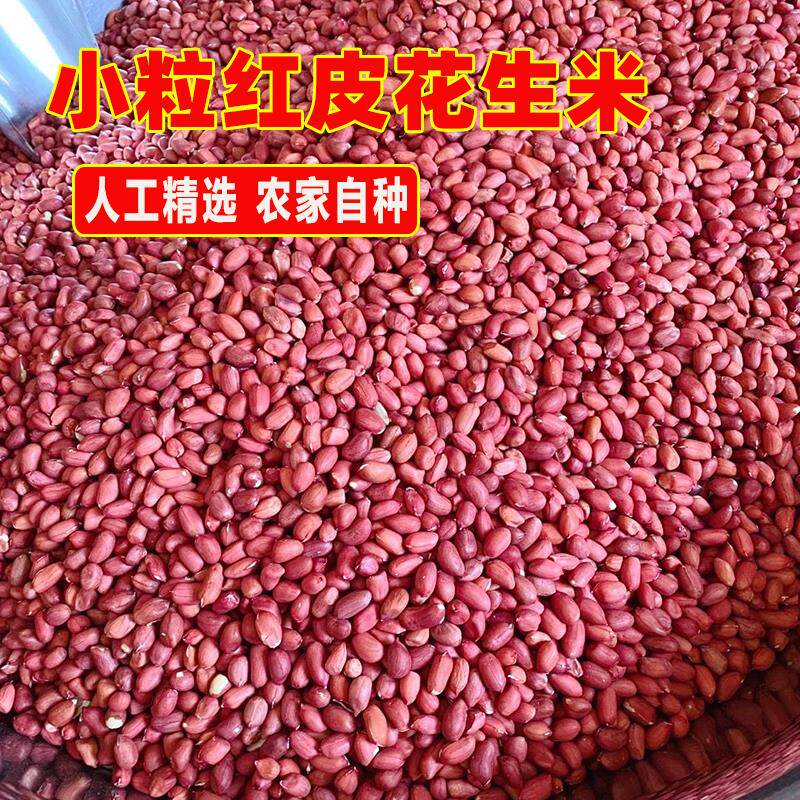 云南小粒红皮花生米红花生仁无壳红衣花生米四粒花生米商用散装