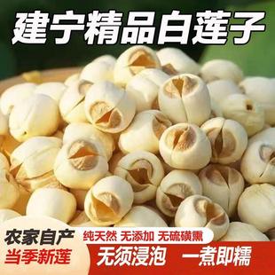 福建建宁白莲子干货特级去芯农家自产手工贡莲通芯纯天然无硫新货