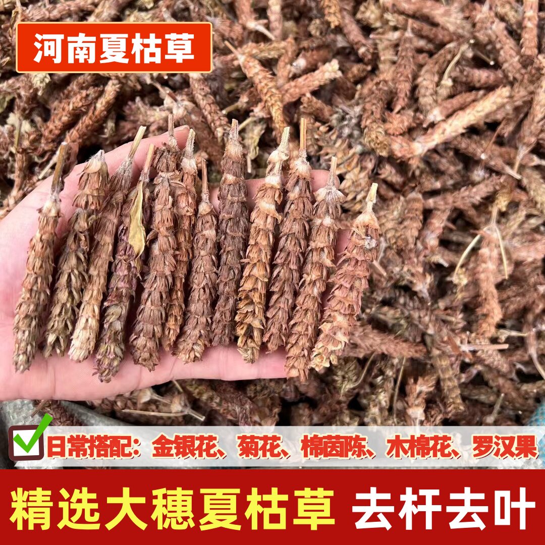 夏枯草干货白毛夏枯草球夏菇草夏估草茶配菊花棉茵陈蒲公英木棉花