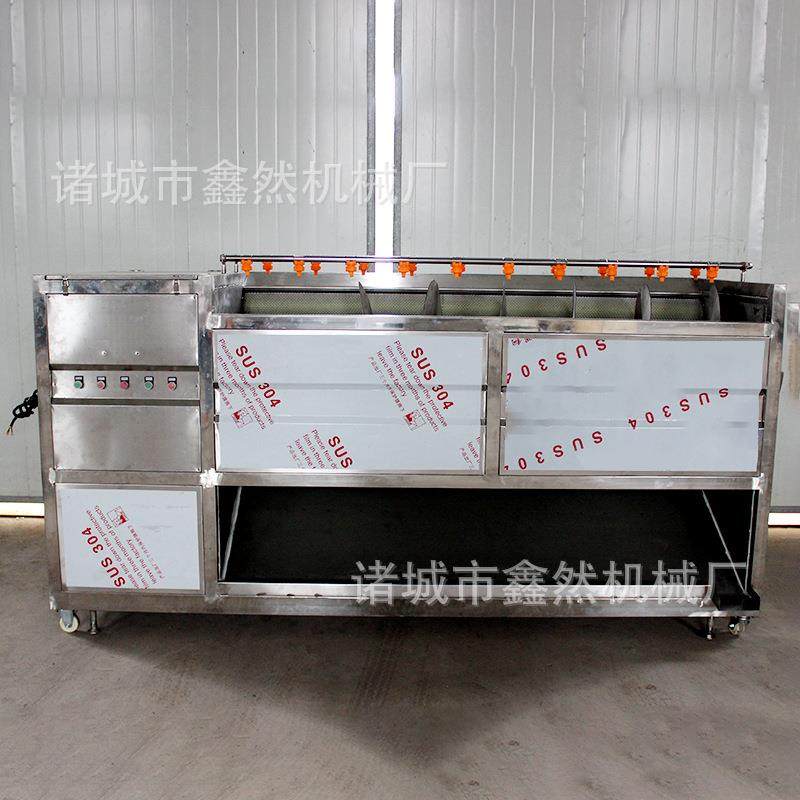 厂家供应土豆红薯大姜马蹄猪蹄猪头毛刷清洗机不锈钢材