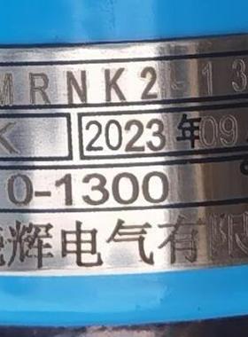 双支铠装耐磨热电偶带卡套式法兰安装WMRN2-138WRN-131NM