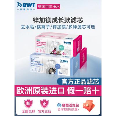 德国bwt净水壶滤芯倍世厨房净水壶家用净水器原装进口锌加镁滤芯