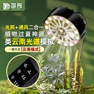 多彤类云南仿太阳全光谱生长灯带通风植物绿植多肉补光上色灯夹式