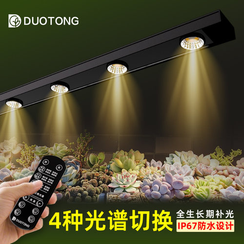 多彤全光谱多肉补光上色灯切光谱