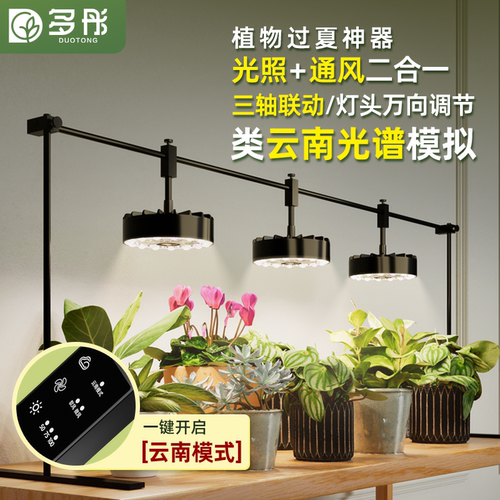 带通风绿植多肉补光上色灯