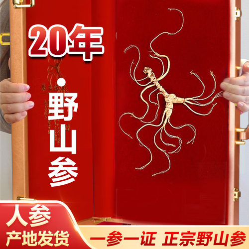 大千山色东北野山参礼盒装一等品