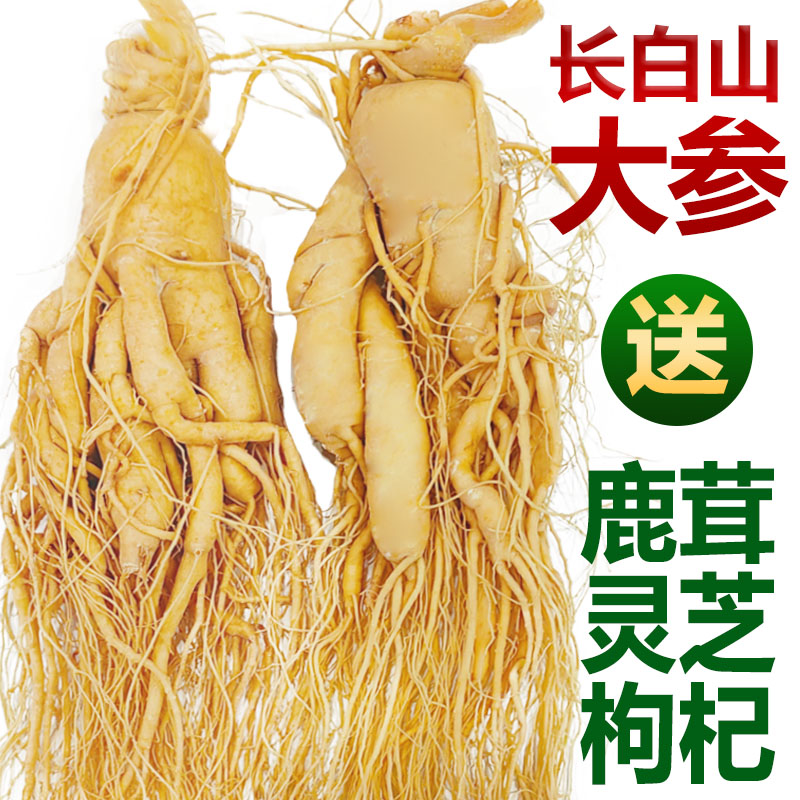 长白山人参煲汤泡酒专用高品质大鲜参正宗吉林园参东北特产地发货