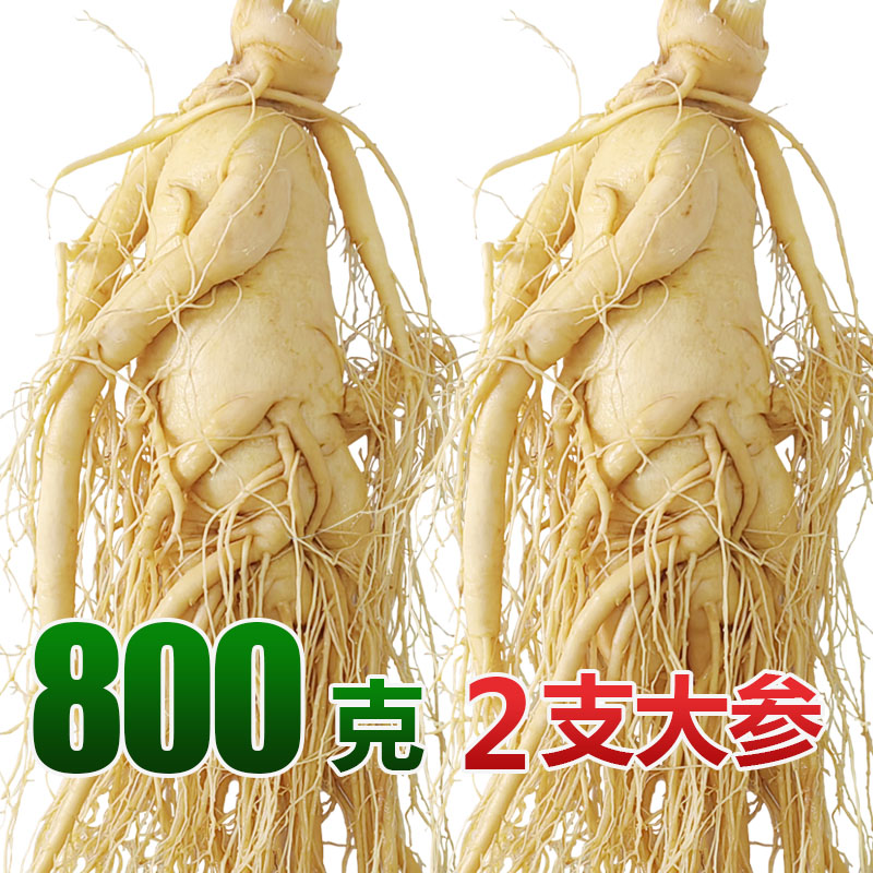 长白山正宗人参煲汤泡酒专用高品质鲜参吉林园参足龄高营养整枝参