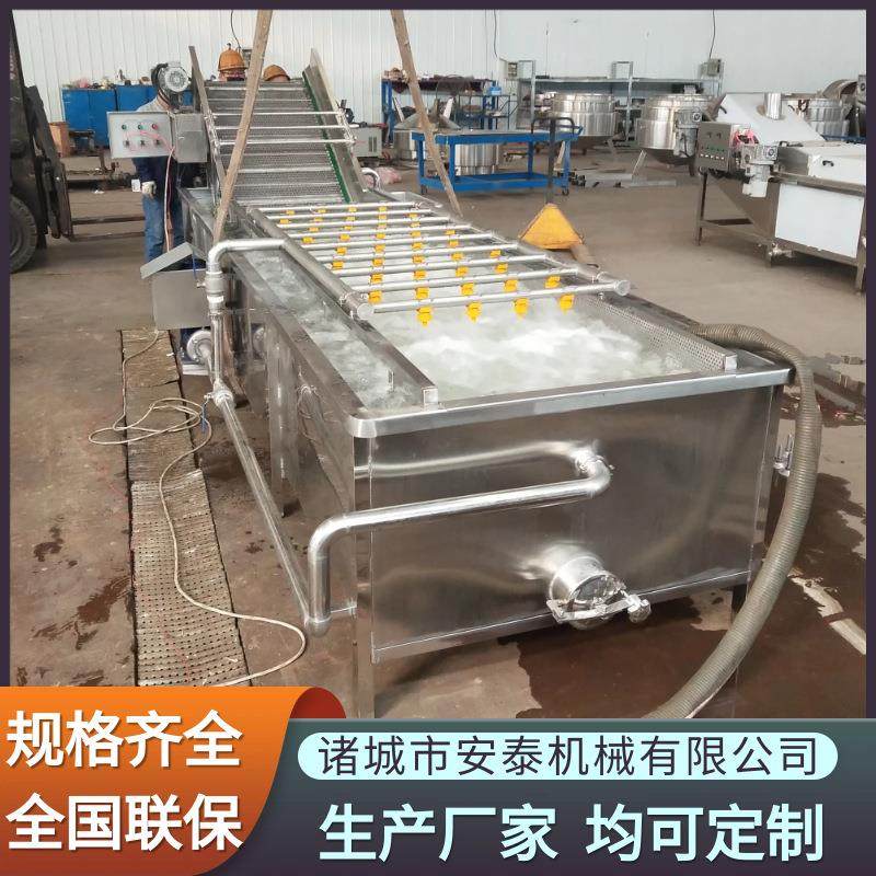 叶菜类高压气泡喷淋清洗机 沙棘清洗机 连续式西红柿气泡清洗机
