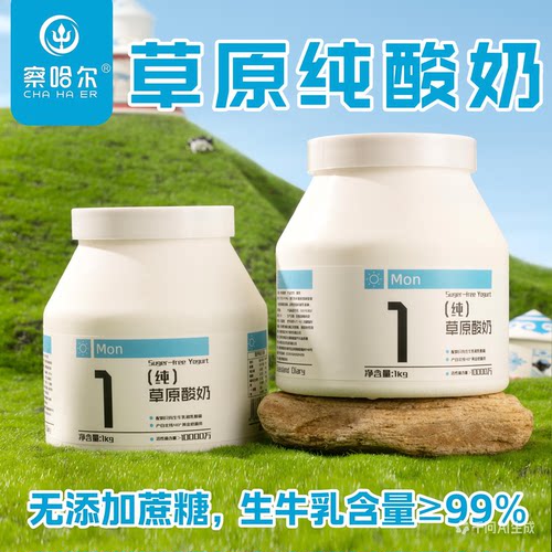 内蒙古草原纯酸奶纯酸奶