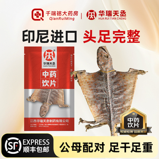 华瑞天丞大蚧蛤干货中药材公母一对中药蛤介哈蚧泡酒蛤芥粉饮片