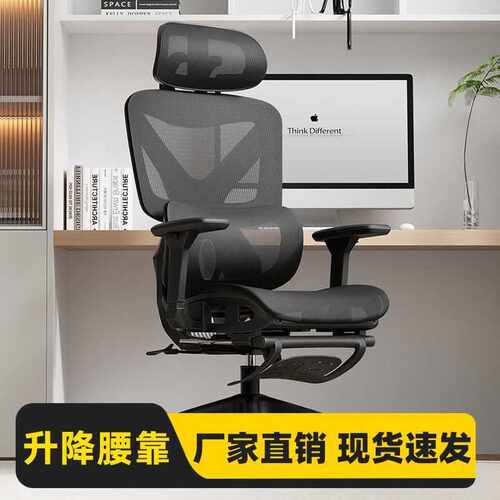 电脑家用人体学学习椅子办公椅办公护腰靠背久坐竞椅座椅