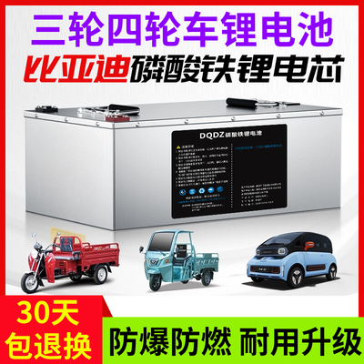 三轮车四轮电动车电瓶宁德时代电动车磷酸铁锂电池72v60v48v100ah