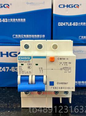 正品广江漏东电保护器双DZ47LE升级款家用总开2P63A气珠开关断空