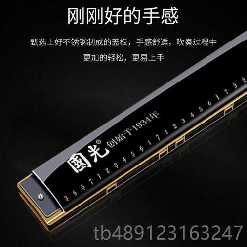 正品上海国光牌口口琴业演奏级28孔重音德国进专音簧24复孔音C调
