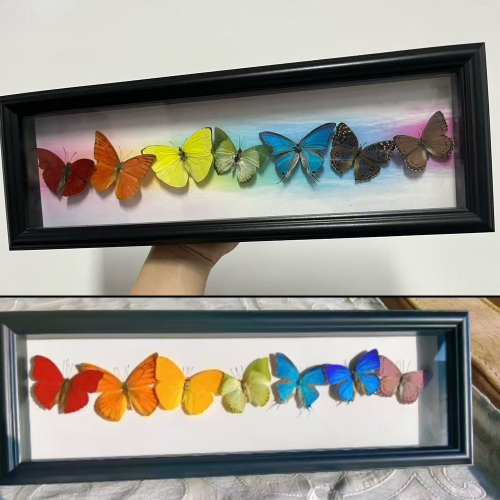现代简约中空相框长方形实木画框照片挂墙果实标本框装饰墙面装饰图片