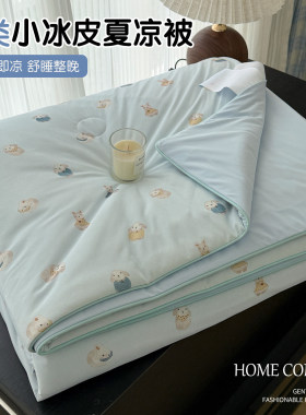 儿童夏凉被双面凉感丝滑小冰皮夏被卡通夏季可机洗宿舍单人空调被